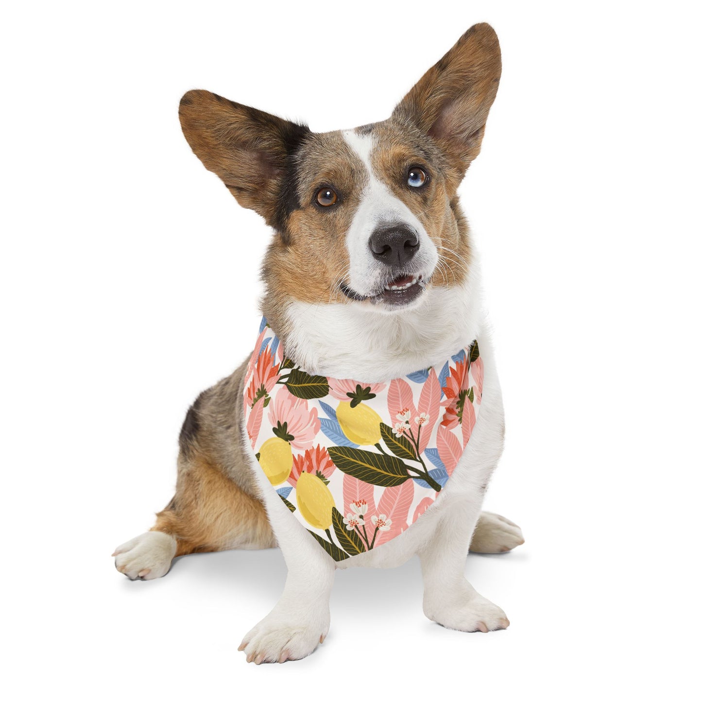 Lemon Flowered Pet Bandana Collar/Cute Pet Bandana/Pet Collar