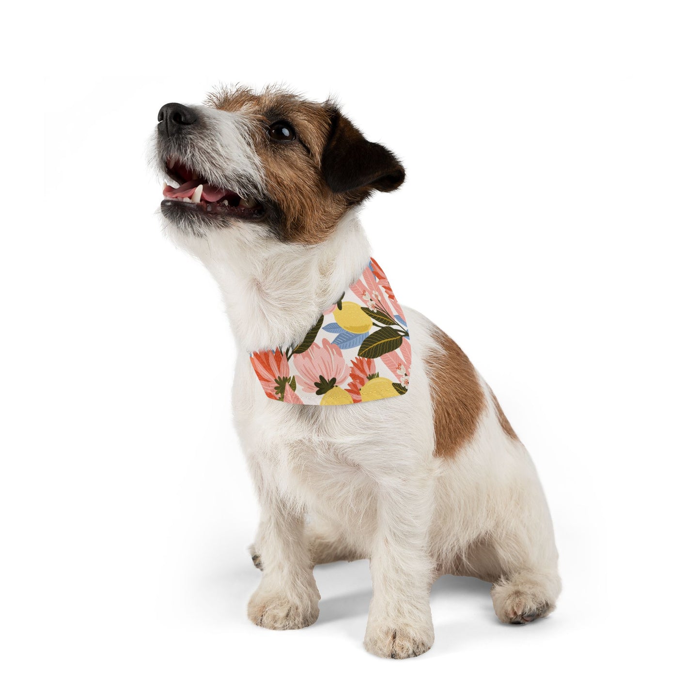 Lemon Flowered Pet Bandana Collar/Cute Pet Bandana/Pet Collar