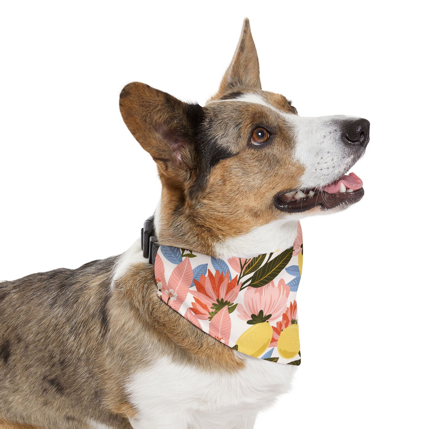 Lemon Flowered Pet Bandana Collar/Cute Pet Bandana/Pet Collar