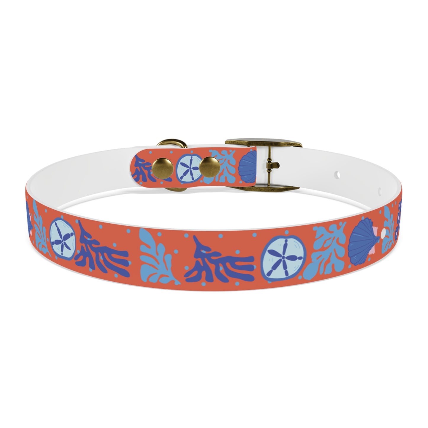 Sand Dollar Dog Collar/Waterproof Dog Collar/Odor and Stain Resistant Dog Collar/Beach Dog Collar