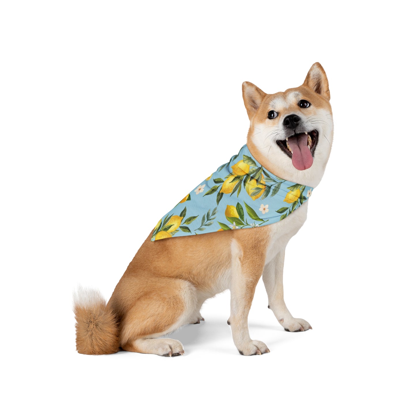 Lemon Drop Pet Bandana