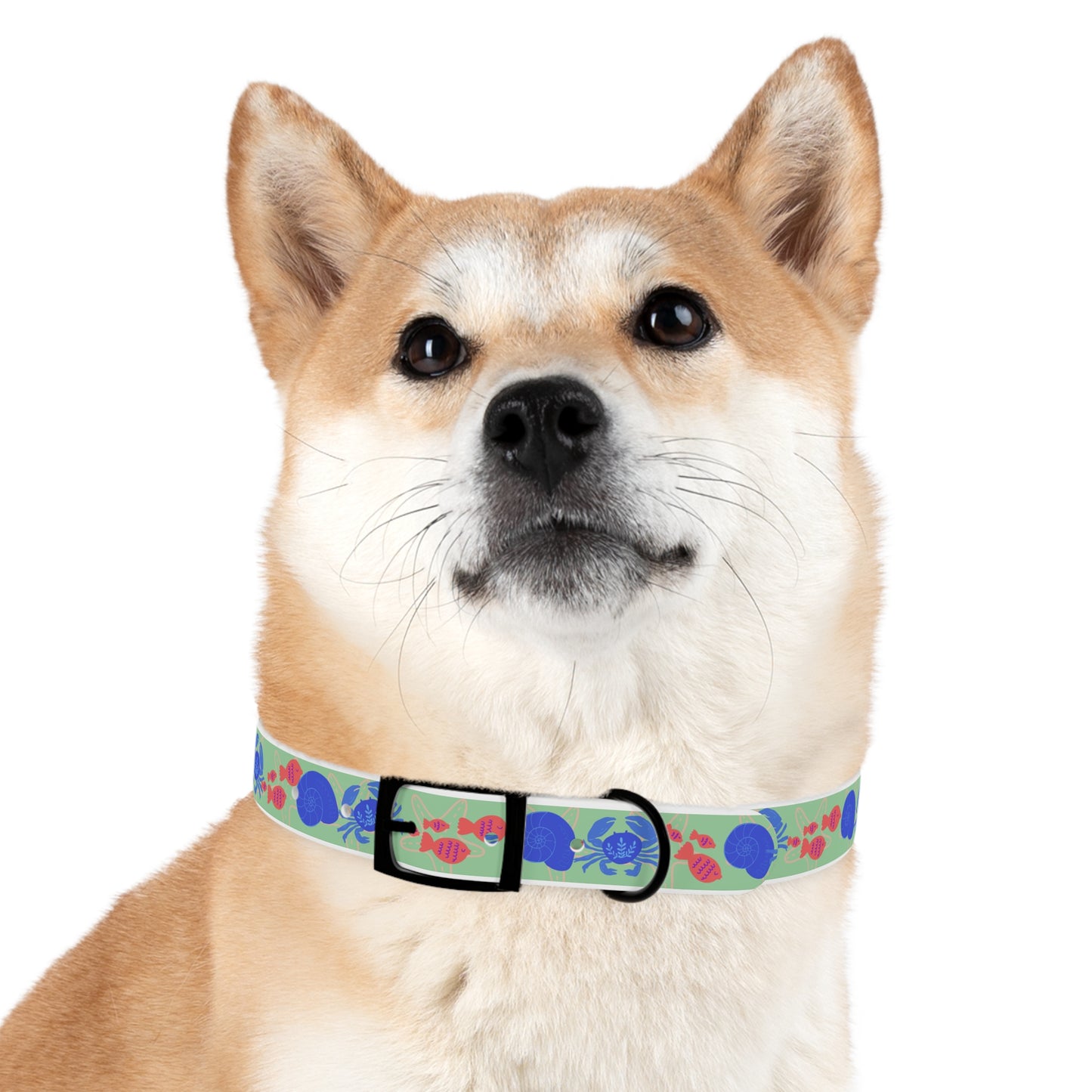 Crabby Dog Collar/Sea Life Dog Collar/Waterproof Dog Collar/Beach Themed Dog Collar