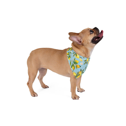 Lemon Drop Pet Bandana