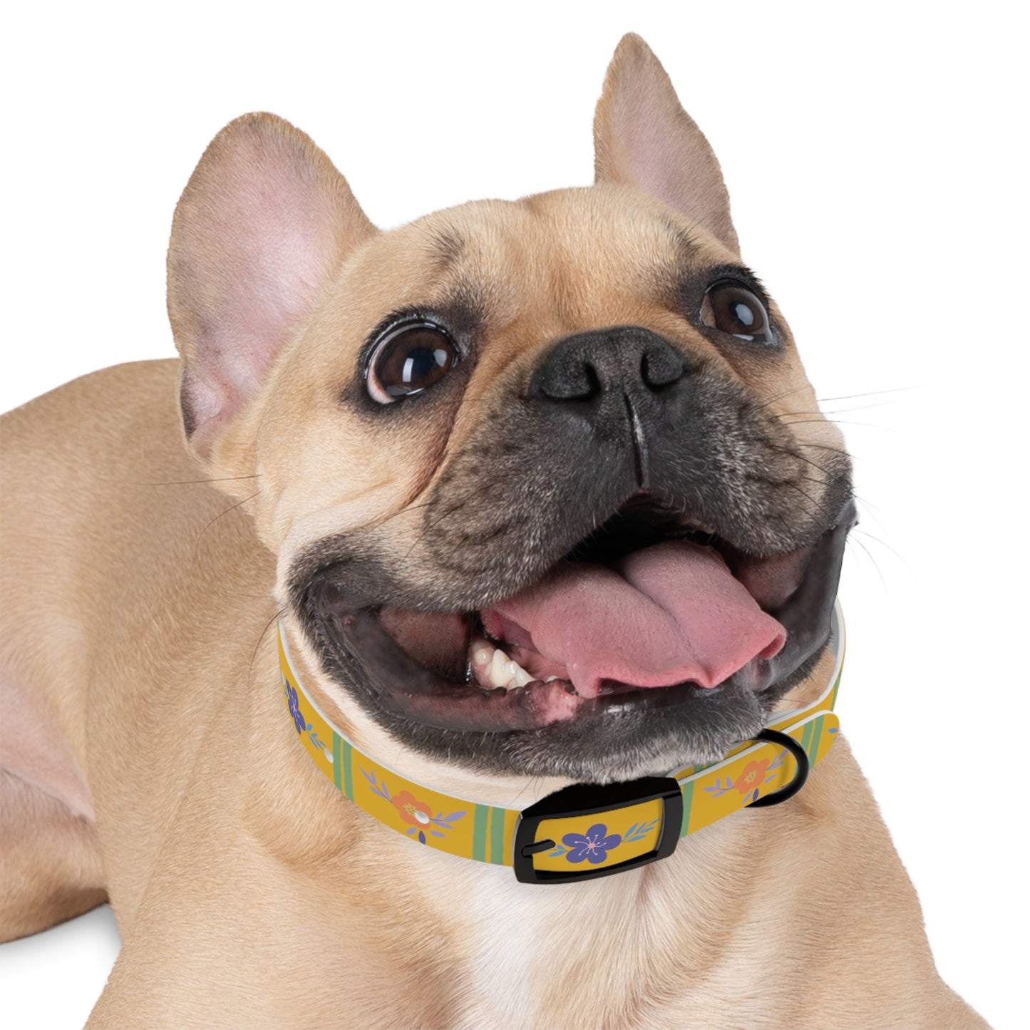 Yellow Flowered Dog Collar/Waterproof Dog Collar/Bright See at Night Collar/Odor Free Color