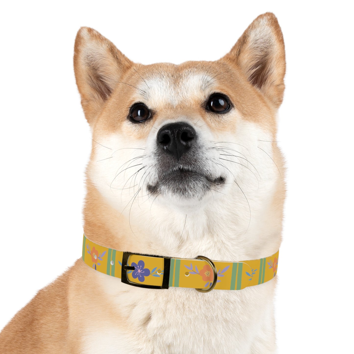 Yellow Flowered Dog Collar/Waterproof Dog Collar/Bright See at Night Collar/Odor Free Color