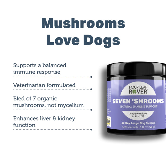 Four Leaf Rover Seven 'Shrooms Our Best Selling Product!