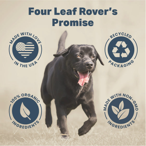 Four Leaf Rover Red Rover