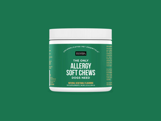 The Only Allergy Soft Chews Dogs Needs: 120 count jar